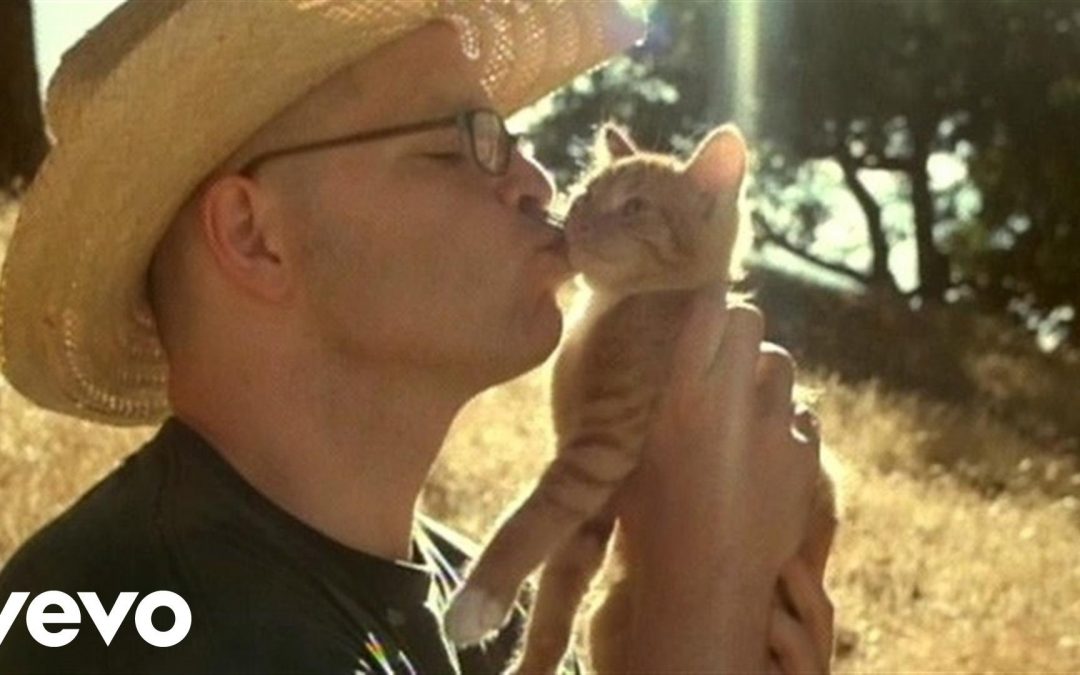 Weezer – Island In The Sun