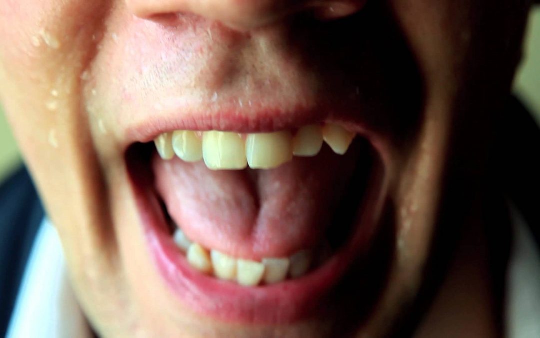 The Hives – Wait A Minute