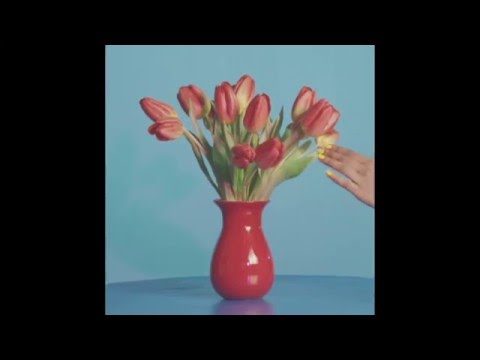 Peter Bjorn and John – What You Talking About?