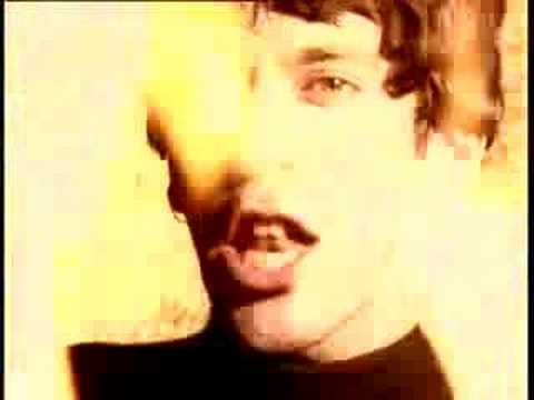 Shed Seven – Going For Gold