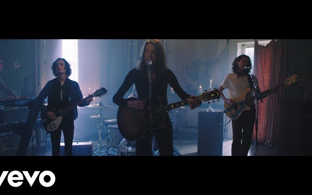 Blossoms – Blown Rose
