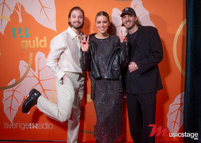 Tom Ljungqvist, Dagny och Henrik Ljungqvist